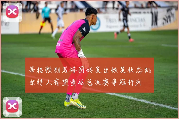蒂格预测若塔图姆复出恢复状态凯尔特人有望重返总决赛争冠行列