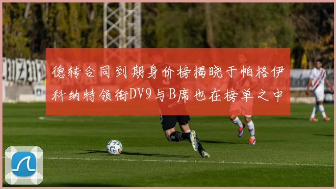 德转合同到期身价榜揭晓于帕格伊科纳特领衔DV9与B席也在榜单之中