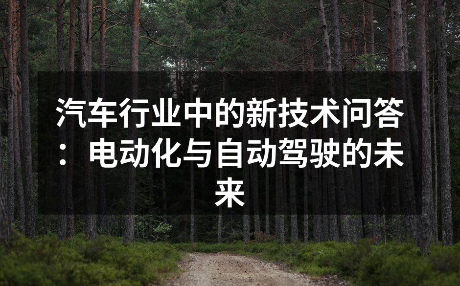 电动汽车在充电站充电