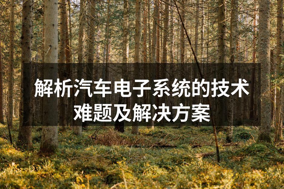 汽车电子系统示意图
